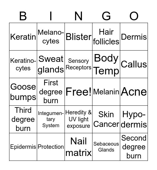 Bio II:  The Human Integumentary System Bingo Card