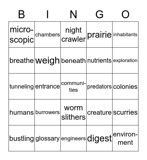 The World Beneath Your Feet 1 Bingo Card