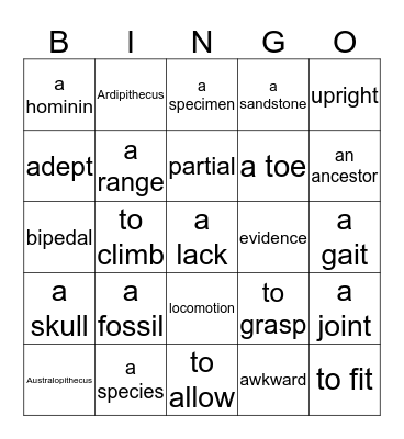 Bingo : 'Lucy' Lived Among Close Cousins Bingo Card