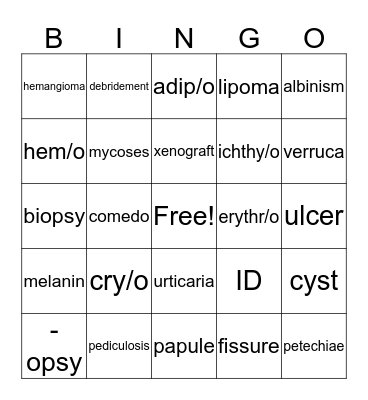 Integumentary System  Bingo Card