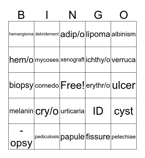 Integumentary System  Bingo Card
