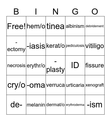 Integumentary System  Bingo Card
