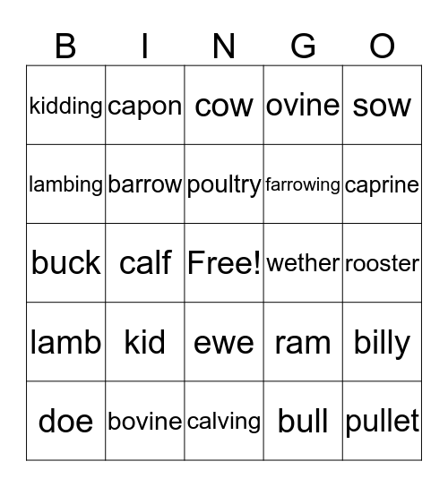 Animal Science Bingo Card