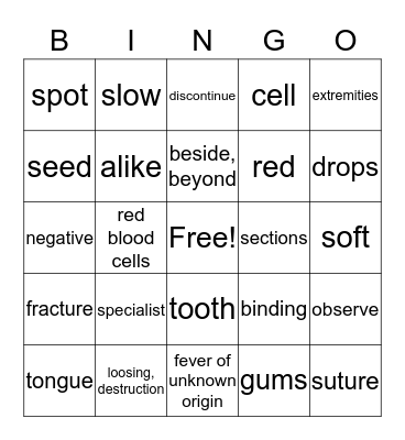 vocabulary bingo Card