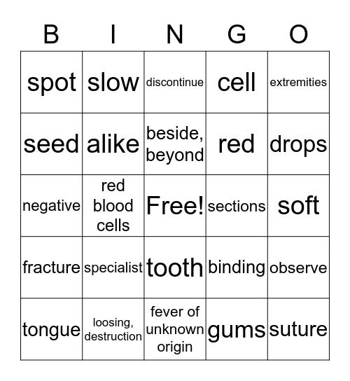 vocabulary bingo Card