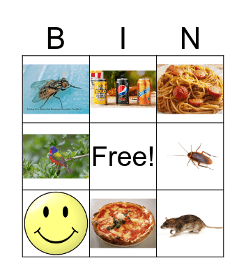 food waste Bingo Card