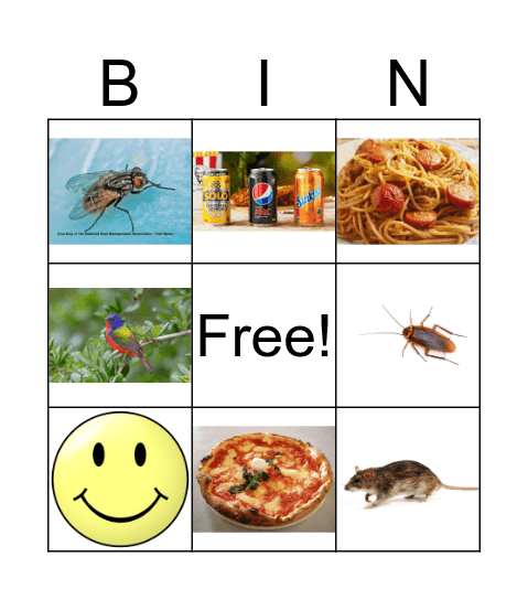 food waste Bingo Card