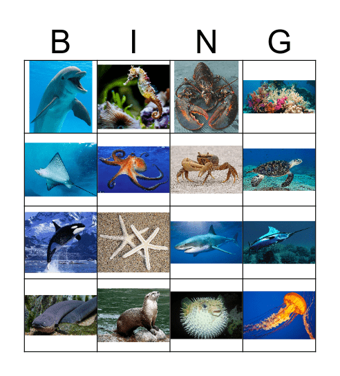 SEA LIFE  Bingo Card