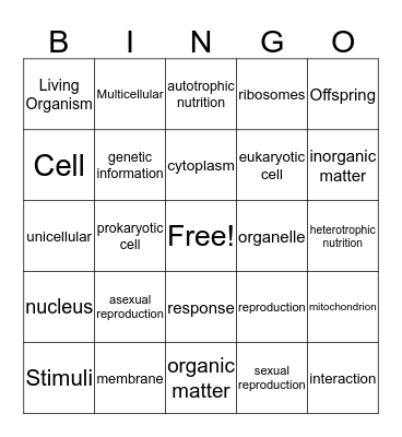 Life Bingo Card