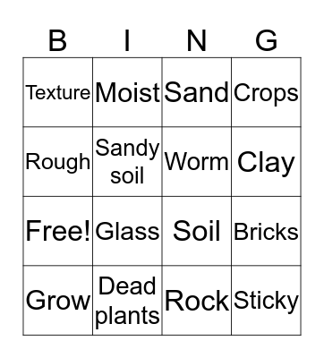 Rocks and Soil Bingo Card