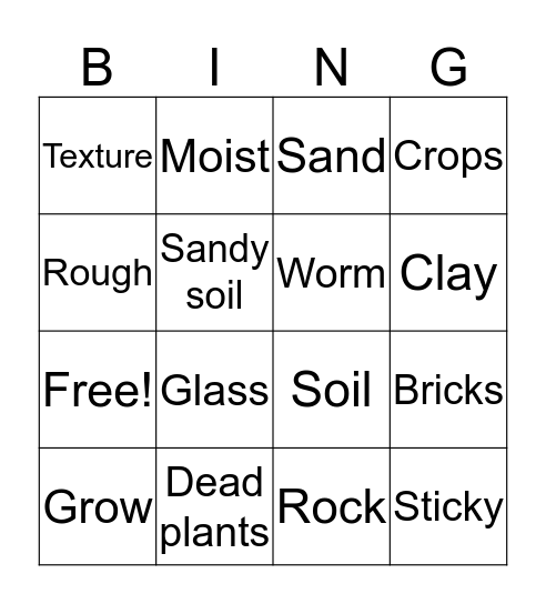 Rocks and Soil Bingo Card