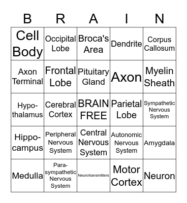 BRAIN BINGO Card