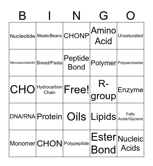 <3 Macromolecules Bingo <3 Bingo Card