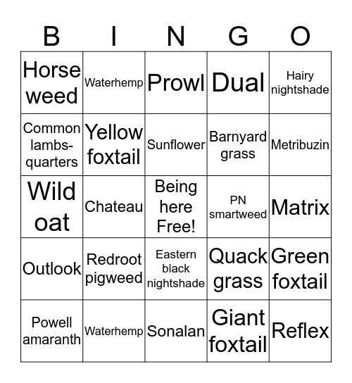 Potato weed management Bingo Card