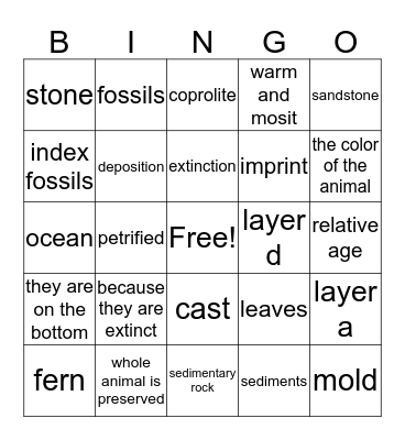 Fossils  Bingo Card