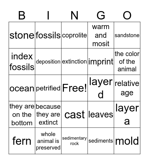 Fossils  Bingo Card