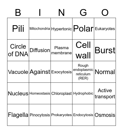 Cell structure & membrane transport Bingo Card