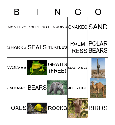 Animals Bingo Card