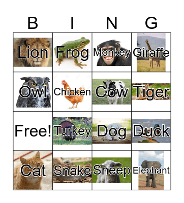 Animal Bingo Card