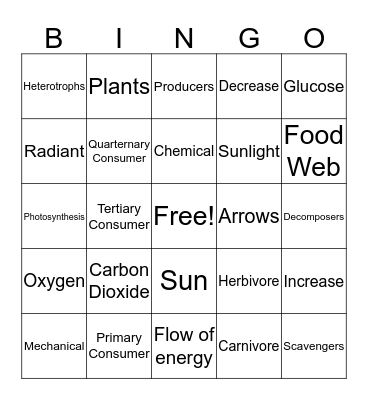 FOOD CHAIN / WEB Bingo Card