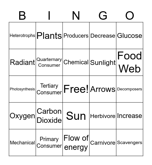 FOOD CHAIN / WEB Bingo Card