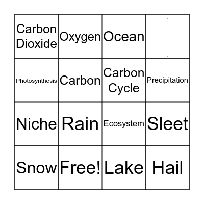 Rainy Day Nature's Niche Bingo Card