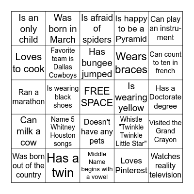 ICEBREAKER:  Find Someone Who..... Bingo Card