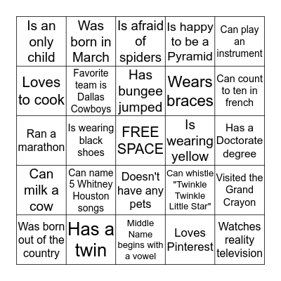 ICEBREAKER:  Find Someone Who..... Bingo Card