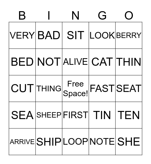 Minimal Pairs  Bingo Card