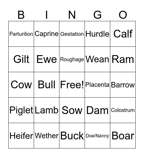 General Livestock Bingo Card