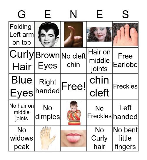 Genetic Trait Bingo Card