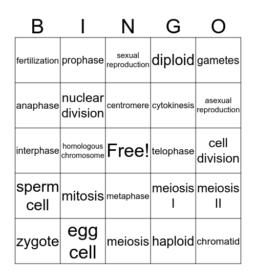 Cellular Division Bingo Card