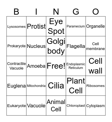 Organelles Bingo Card