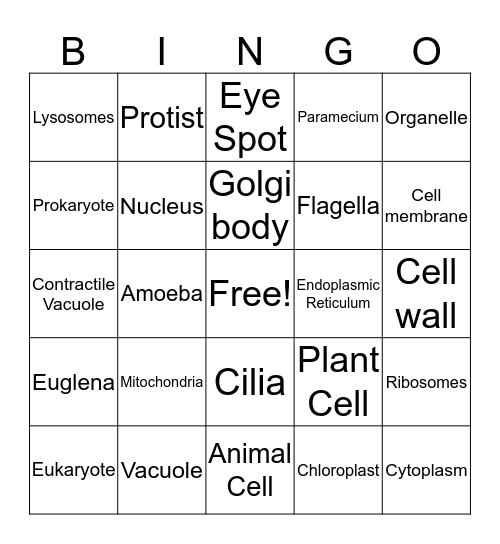 Organelles Bingo Card