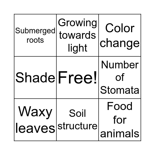 Adaptable Plants in the Environment!  Bingo Card