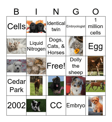 ViaGen Pets & Equine Bingo Card