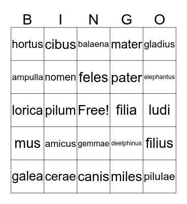 Latin Nouns Bingo Card