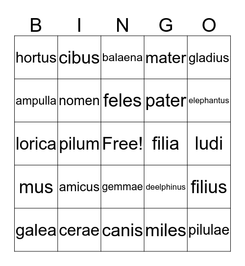 Latin Nouns Bingo Card