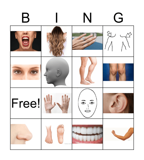 Body Parts Bingo Card