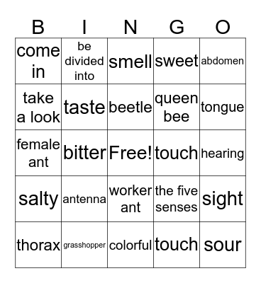 Reading Key basic-1-unit 7,8 Bingo Card