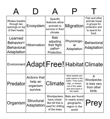 ANIMAL ADAPTATIONS  Bingo Card