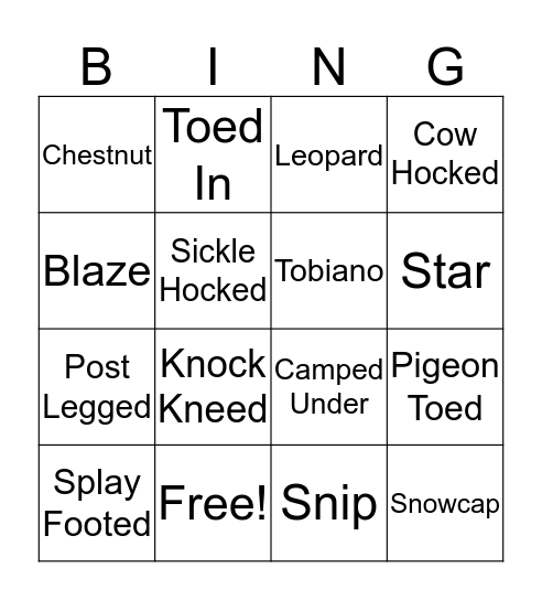 Horse BINGO Card