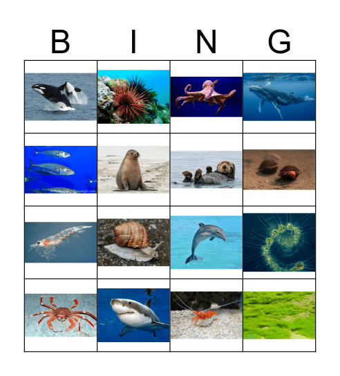 Ocean Bingo Card