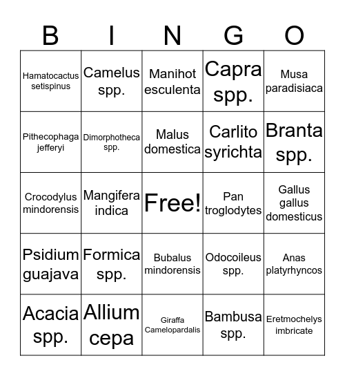 Scientific Names Bingo Card