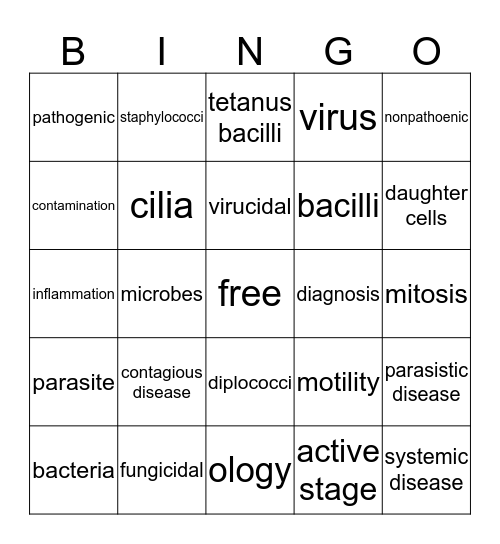 Ch 5 Principles of Infection Bingo Card