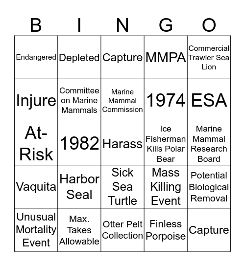 MMPA Bingo! Bingo Card