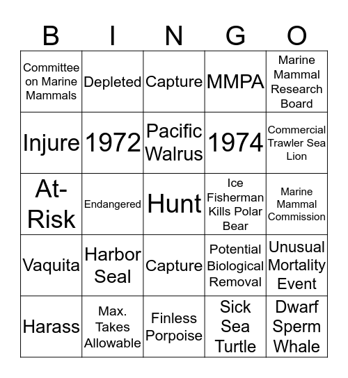 MMPA Bingo! Bingo Card