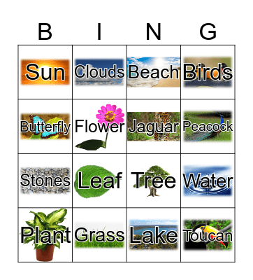 Nature Walk Bingo Card