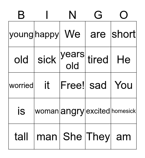 Using the Verb  'Be' to describe people Bingo Card