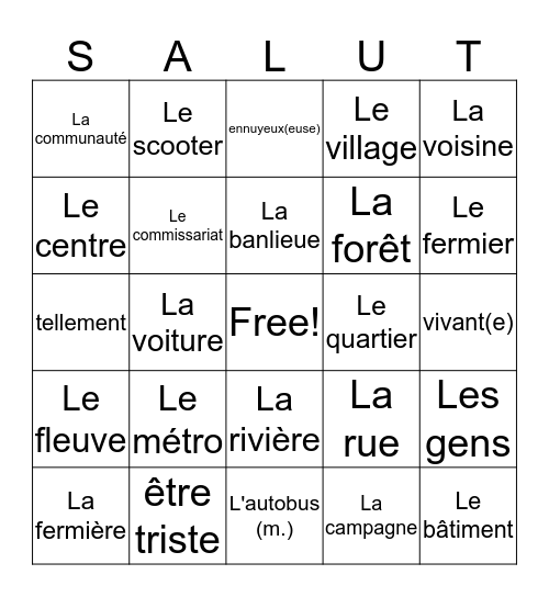 French : Unit 9A (Town vs Countryside) Bingo Card